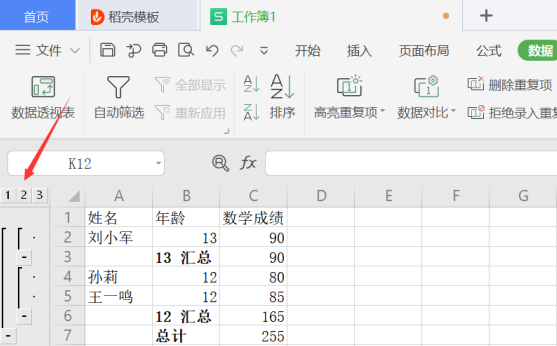 如何查看Excel 中分类汇总数据后的明